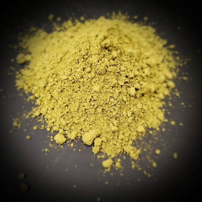 hirsuta